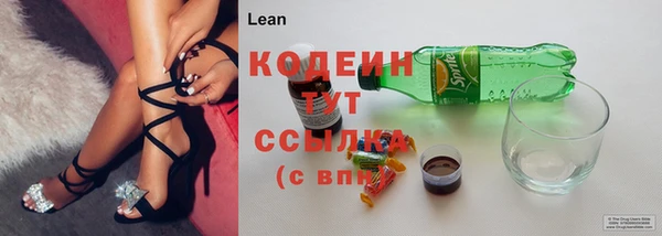 ПСИЛОЦИБИНОВЫЕ ГРИБЫ Алексин