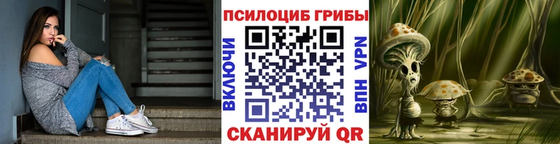 Псилоцибиновые грибы прущие грибы  сколько стоит  Мыски 