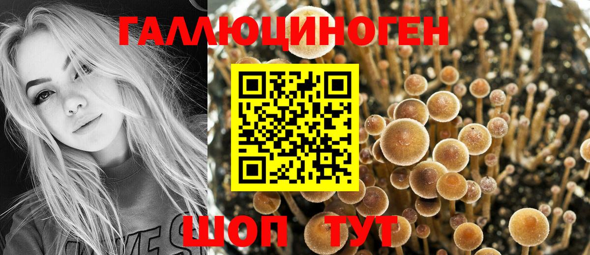 Галлюциногенные грибы Magic Shrooms Мыски