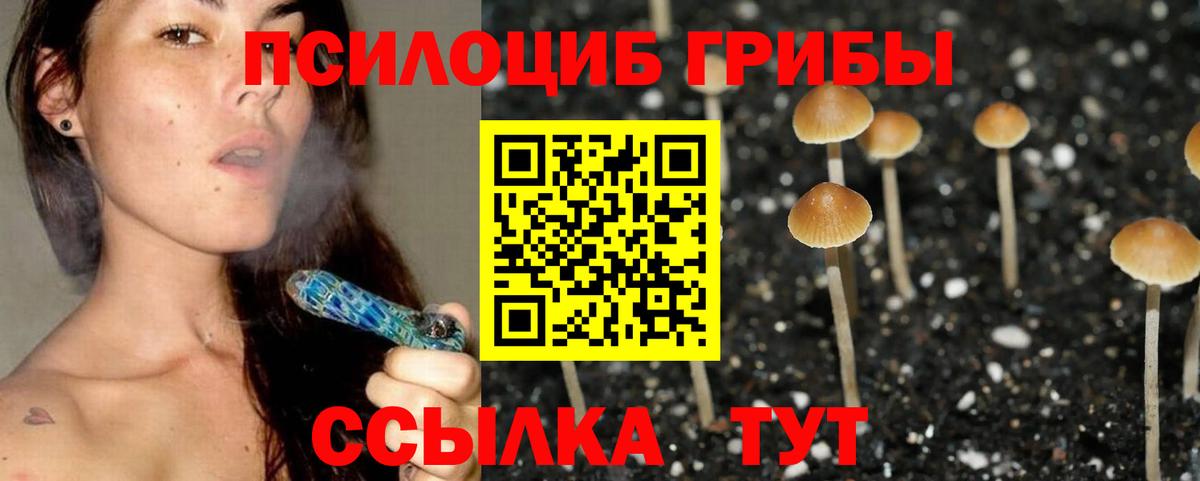 Галлюциногенные грибы прущие грибы  где купить наркоту  Мыски  Вход с VPN 